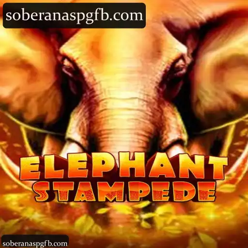 ElephantStampede